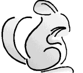 chin1.gif (4943 bytes)